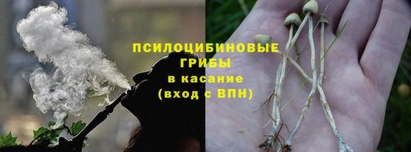 тгк Няндома