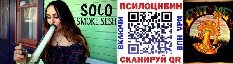 Псилоцибиновые грибы Psilocybe купить наркотики сайты Туринск